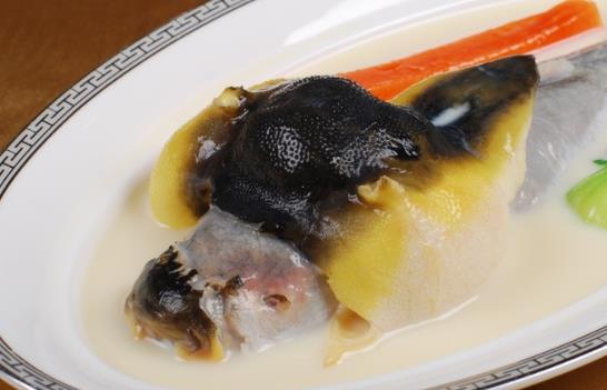 小孩子可以吃河豚嗎?干河豚有毒沒有?