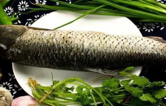 孕婦可以吃草魚嗎?哪些人適合吃草魚?