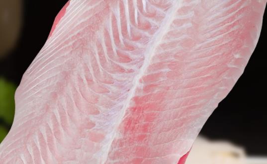巴沙魚寶寶能吃嗎 煮巴沙魚起泡沫怎么解決