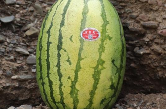 冰西瓜和小龍蝦能不能一起吃 吃完螃蟹能吃冰西瓜嗎