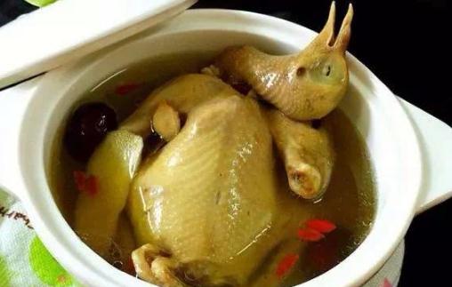 術后吃鴿子會造成疤痕增生嗎 術后吃鴿子有什么好處