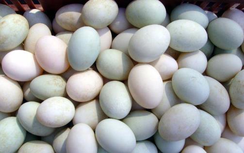 鴨蛋腌多久可以吃 腌好的咸鴨蛋怎么保存