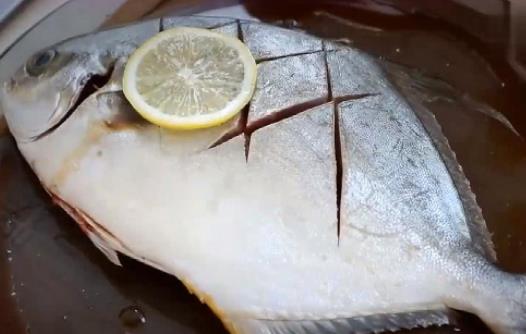 孕婦可以吃金鯧魚嗎?金鯧魚有哪些價值?