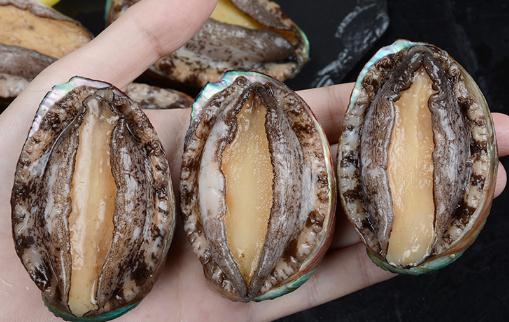 鮑魚煲雞湯放些什么材料 怎么洗鮑魚才干凈