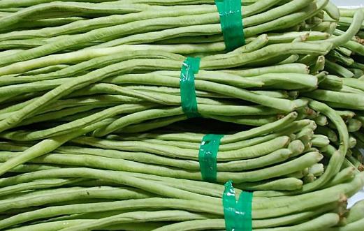 豆角減肥還是增肥 水煮豆角的熱量高嗎