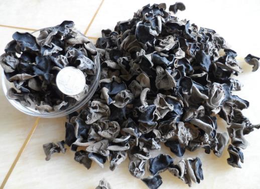干木耳可以放幾年?木耳泡多長時間會有毒?