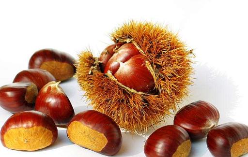 板栗需要煮多久才熟 板栗發(fā)芽了還能吃嗎