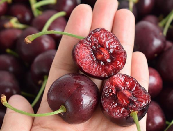 車厘子表面油油是怎么回事?車厘子表面有油是蠟嗎