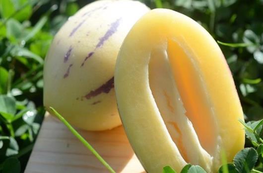 人參果肉變黑怎么回事 人參果怎么樣才算熟了