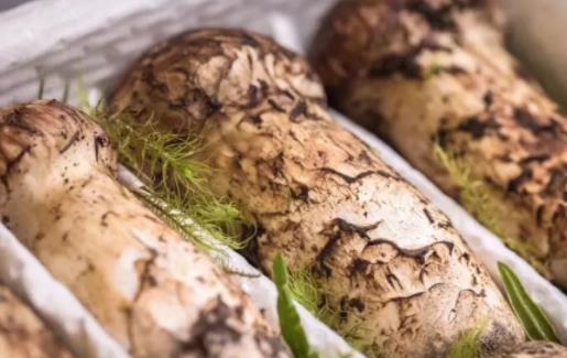 松茸整個凍還是切片凍 松茸吃了會中毒嗎