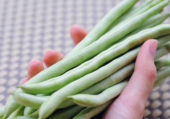 吃四季豆為什么會中毒?四季豆的食用功效