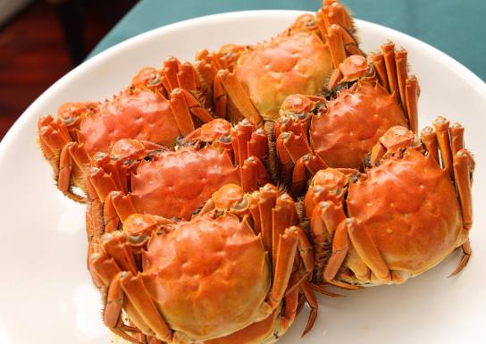 大閘蟹放冰箱沒用毛巾蓋會死嗎?大閘蟹放冰箱可以放多久?