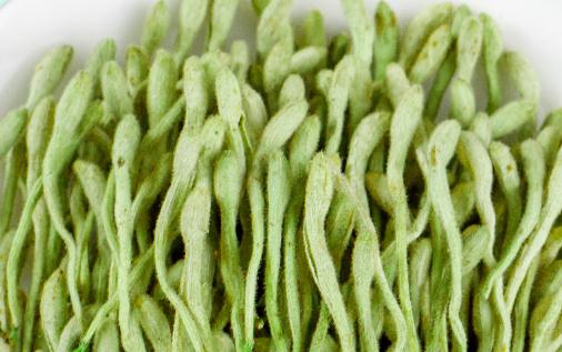 金銀花喝多了對胃是不是有刺激 金銀花喝多長時間為一個療程