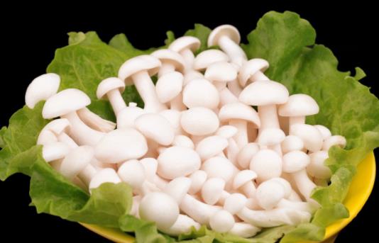 孕婦可以吃白玉菇嗎?孕婦吃白玉菇有哪些好處?