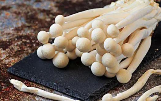 孕婦可以吃白玉菇嗎?孕婦吃白玉菇有哪些好處?