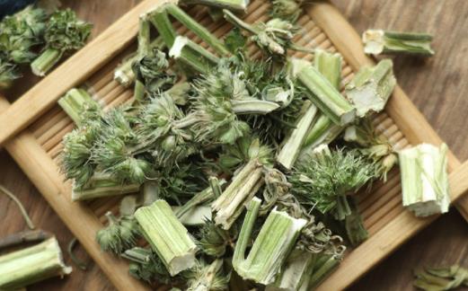 益母草是月經前喝還是月經后喝 益母草沒來月經的時候可以喝嗎