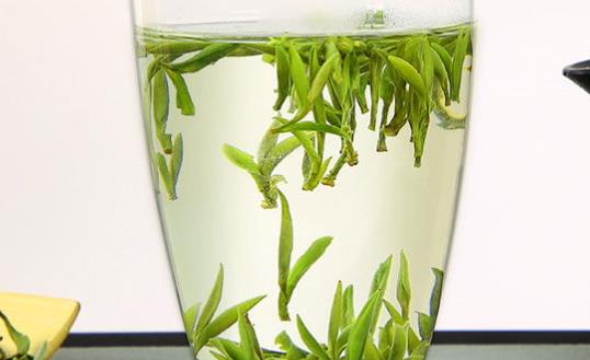 都勻毛尖綠茶大家聽說過嗎 都勻毛尖是綠茶是不是