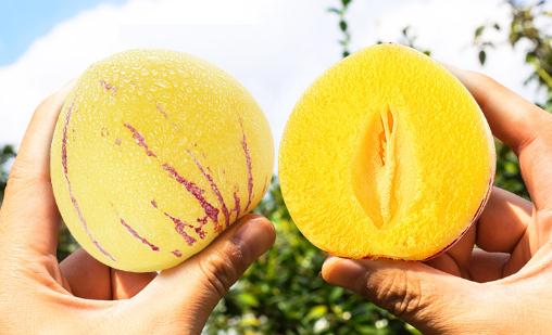 人參果的皮可以吃嗎 人參果的瓤可不可以吃