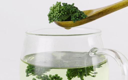 體內濕氣重能喝三七花泡水嗎 喝三七花茶要注意什么