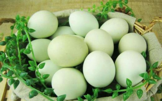 艾葉煮雞蛋的水可以喝嗎 吃艾葉煮雞蛋有什么要注意的