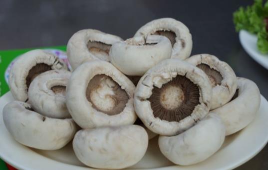 寶寶可以吃口蘑嗎?寶寶吃口蘑有哪些好處?