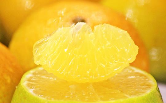 皇帝柑放幾天會不會更甜 皇帝柑可以放多久