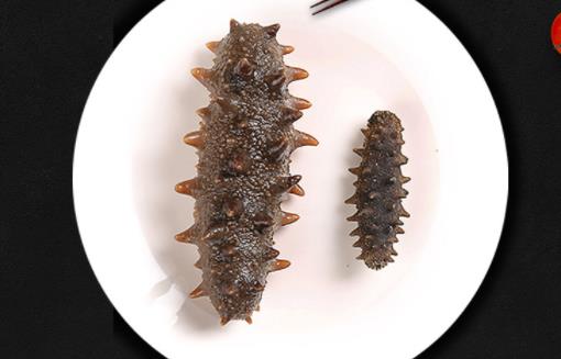 海參每次吃多少條合適 海參天天吃好嗎