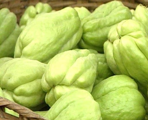 佛手瓜發芽了該怎樣弄成盆栽?佛手瓜切開里面變色還能吃嗎