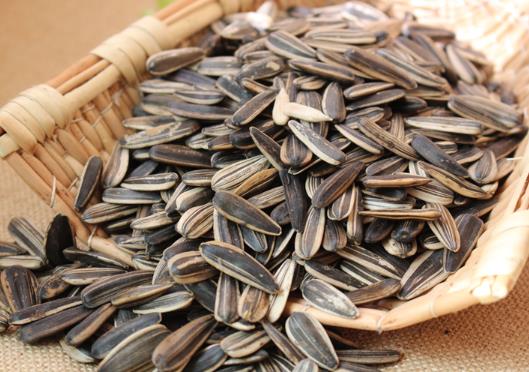 嗑瓜子嘴巴起泡怎么辦?吃瓜子嘴角開裂怎么辦