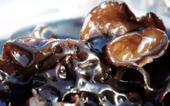 ?木耳屬于涼性食物嗎?吃黑木耳有哪些功效?