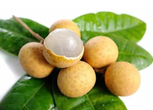 桂圓發芽了可以種嗎?一天吃一斤桂圓干會怎么樣