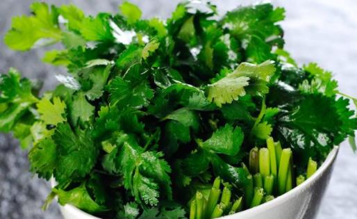 香菜可以曬干了保存嗎 香菜冷凍后化開發黑能吃嗎