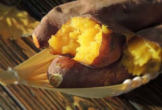 路邊的烤地瓜是什么品種?為什么烤紅薯比蒸紅薯熱量高