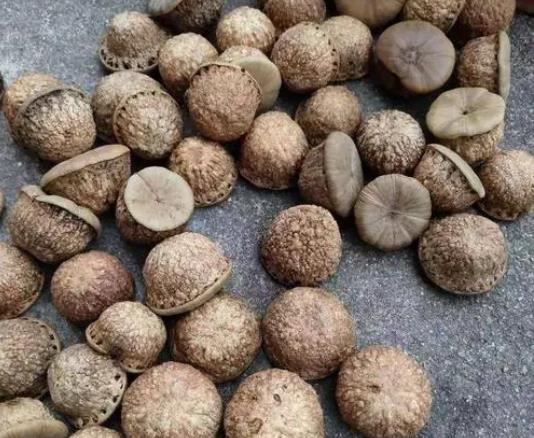 風(fēng)流果和什么搭配補(bǔ)腎壯陽好?風(fēng)流果多少錢一斤