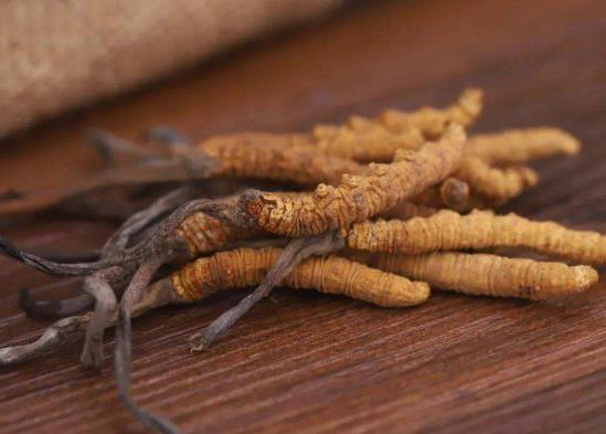 什么時候買新鮮蟲草比較好?蟲草可以治療哪些病