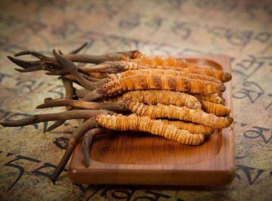 用什么酒泡蟲草比較好?新鮮冬蟲夏草吃之前怎么洗