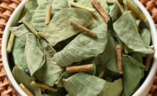 金錢草吃多久才能排腎結石 長期用金錢草泡水喝有什么副作用