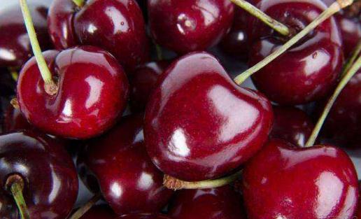 車?yán)遄淤I哪種顏色的好圖片 車?yán)遄觠級(jí)和JJ級(jí)哪個(gè)好