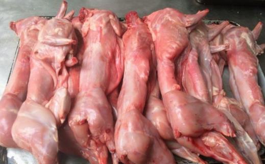 兔子肉怎么做不腥又好吃 兔子肉不能和什么食物一起吃