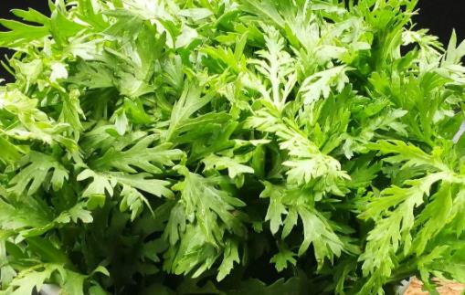 茼蒿與豆腐能一起吃嗎 茼蒿的葉子上有白色的蟲子怎么辦