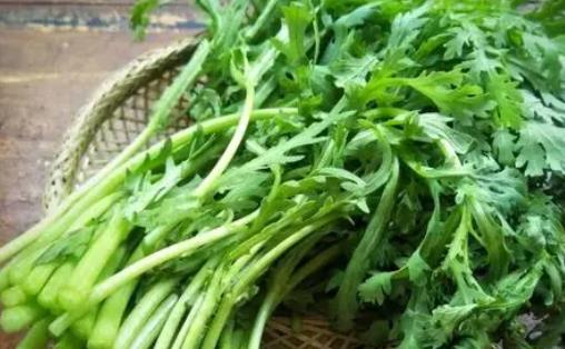 茼蒿與豆腐能一起吃嗎 茼蒿的葉子上有白色的蟲子怎么辦