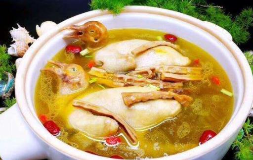 一周吃一只鴿子會不會太補了 老鴿子好還是嫩鴿子好