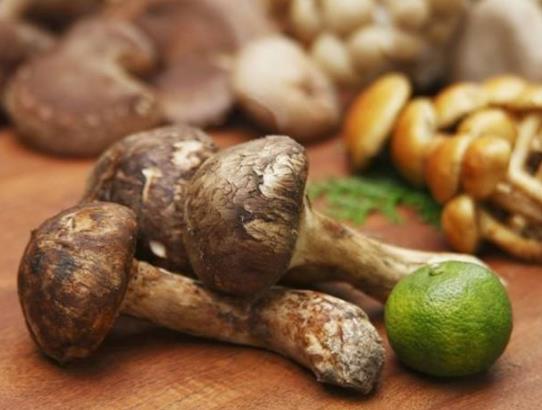 松茸的臭味是什么成分?松茸解凍的正確方法