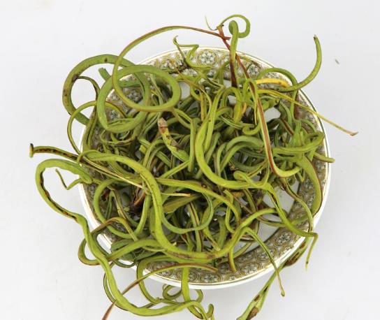 腎精茶搭配什么泡水喝最好?腎精茶有什么副作用