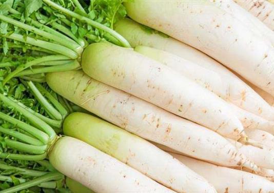 切開的白蘿卜可以放多久?白蘿卜水治咳嗽一天喝幾次