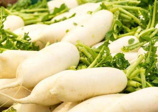 切開的白蘿卜可以放多久?白蘿卜水治咳嗽一天喝幾次