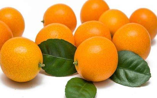 吃金桔會(huì)胖嗎 吃金桔嘴麻是什么原因