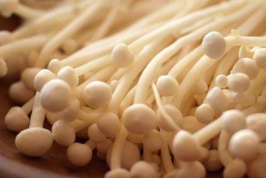 金針菇是發物嗎?金針菇不宜和什么一起吃?