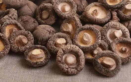 孕婦可以吃冬菇嗎?孕婦吃冬菇有哪些好處?