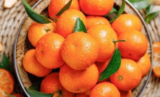 不甜的砂糖橘放久了會變甜嗎 砂糖橘怎么保存不會爛
